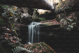 a small waterfall in the middle of a forest