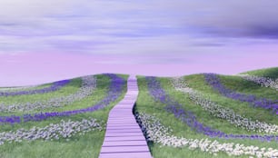a pathway leading to a field of flowers