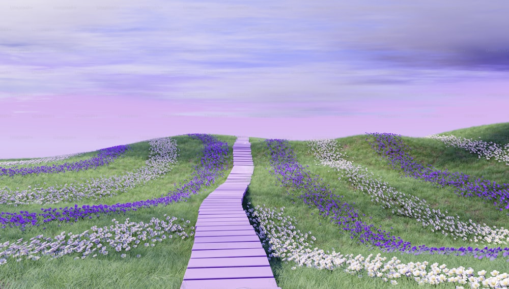 a pathway leading to a field of flowers