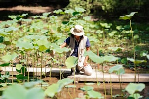 a man kneeling down next to a pond filled with water lilies