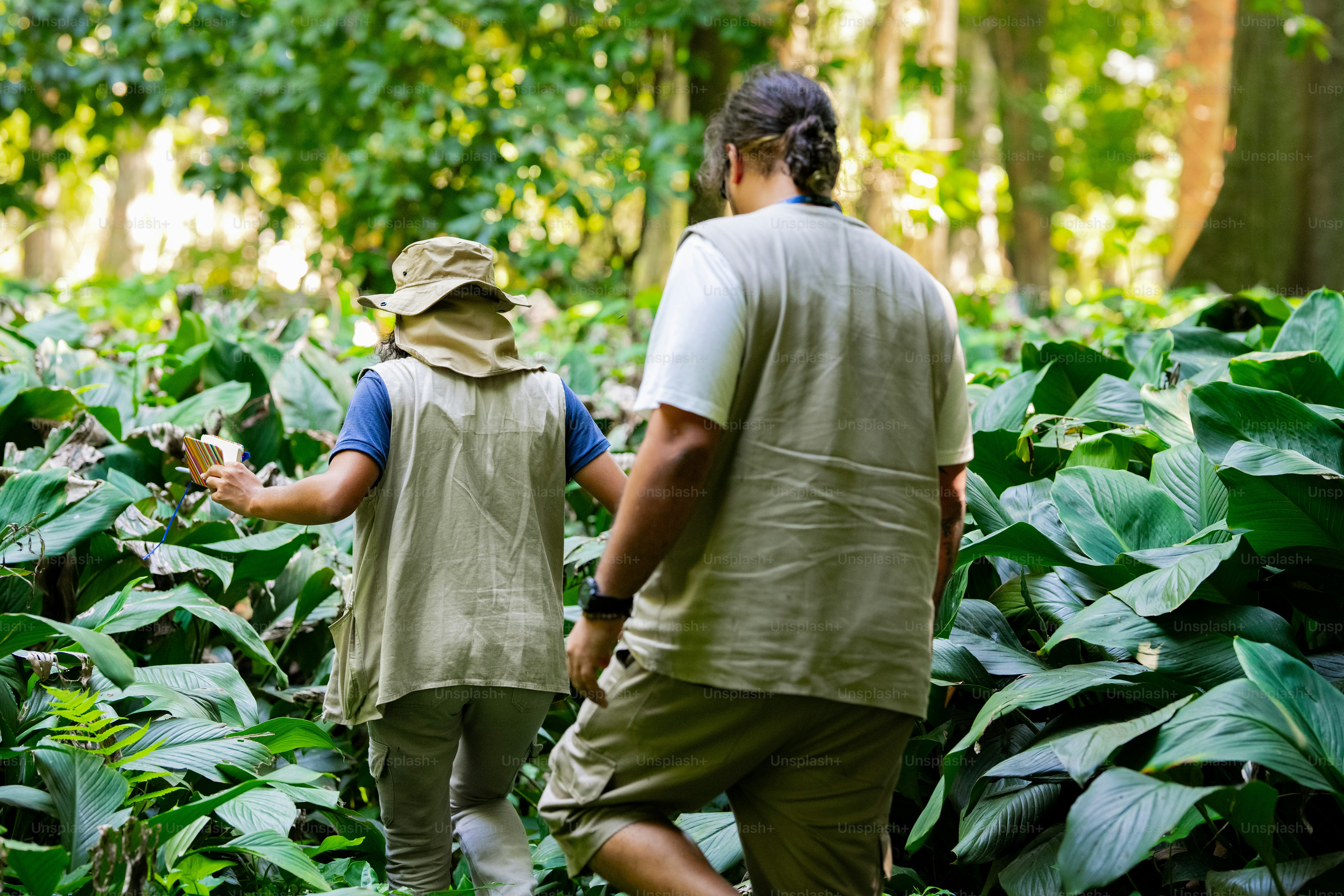 a couple of people walking through a lush green forest