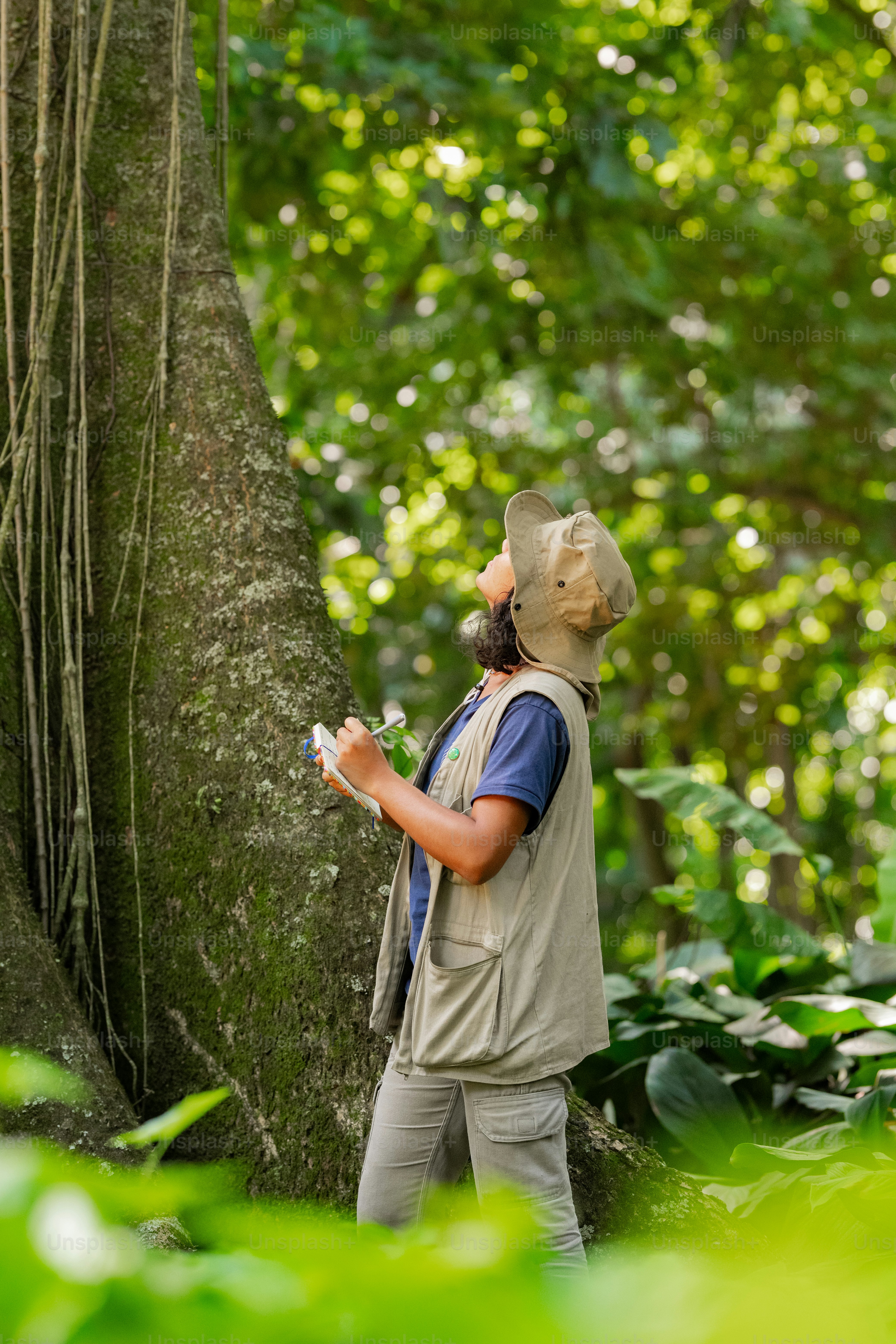 a man standing next to a tree in a forest