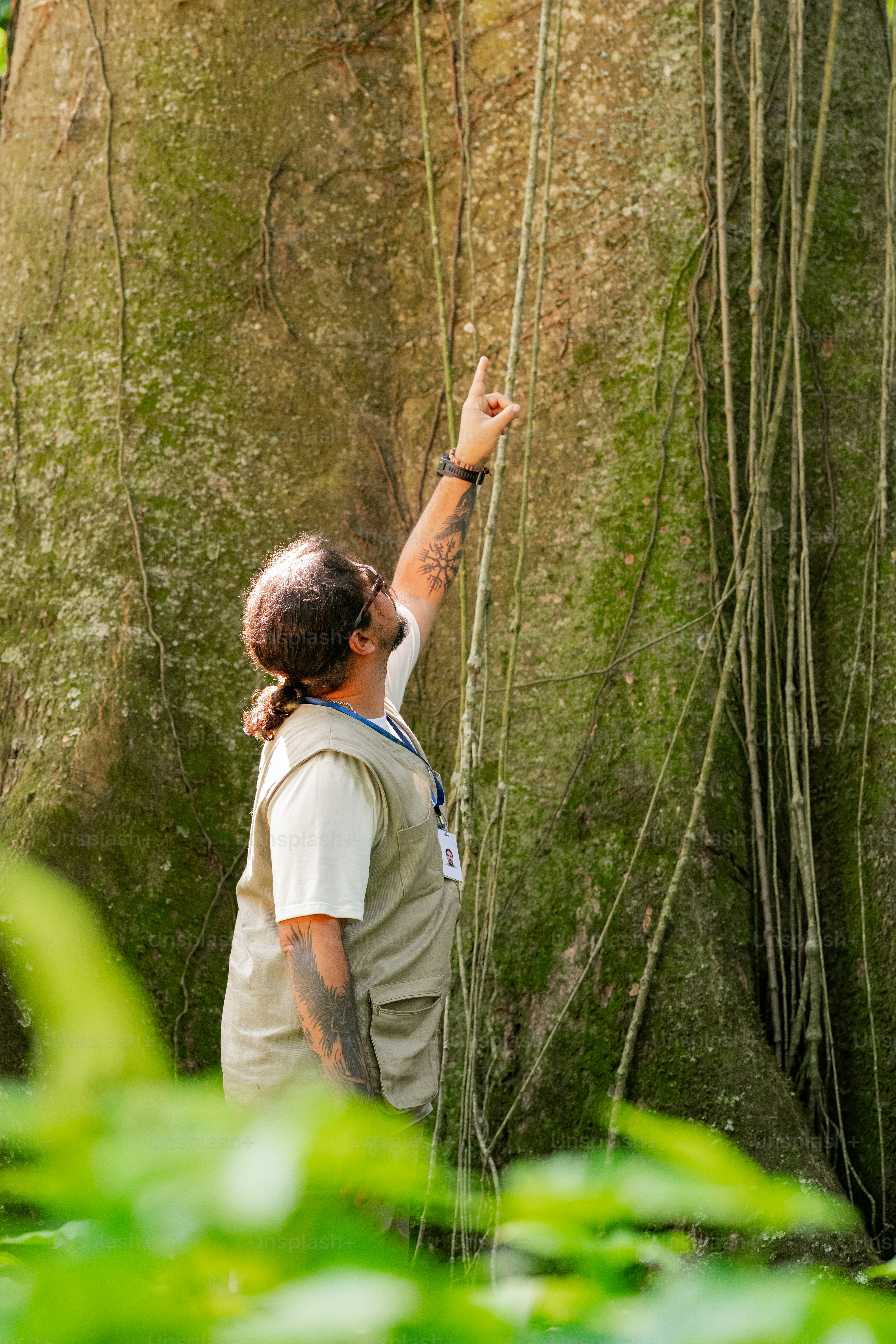 A man standing next to a large tree in a forest photo – Work Image on ...