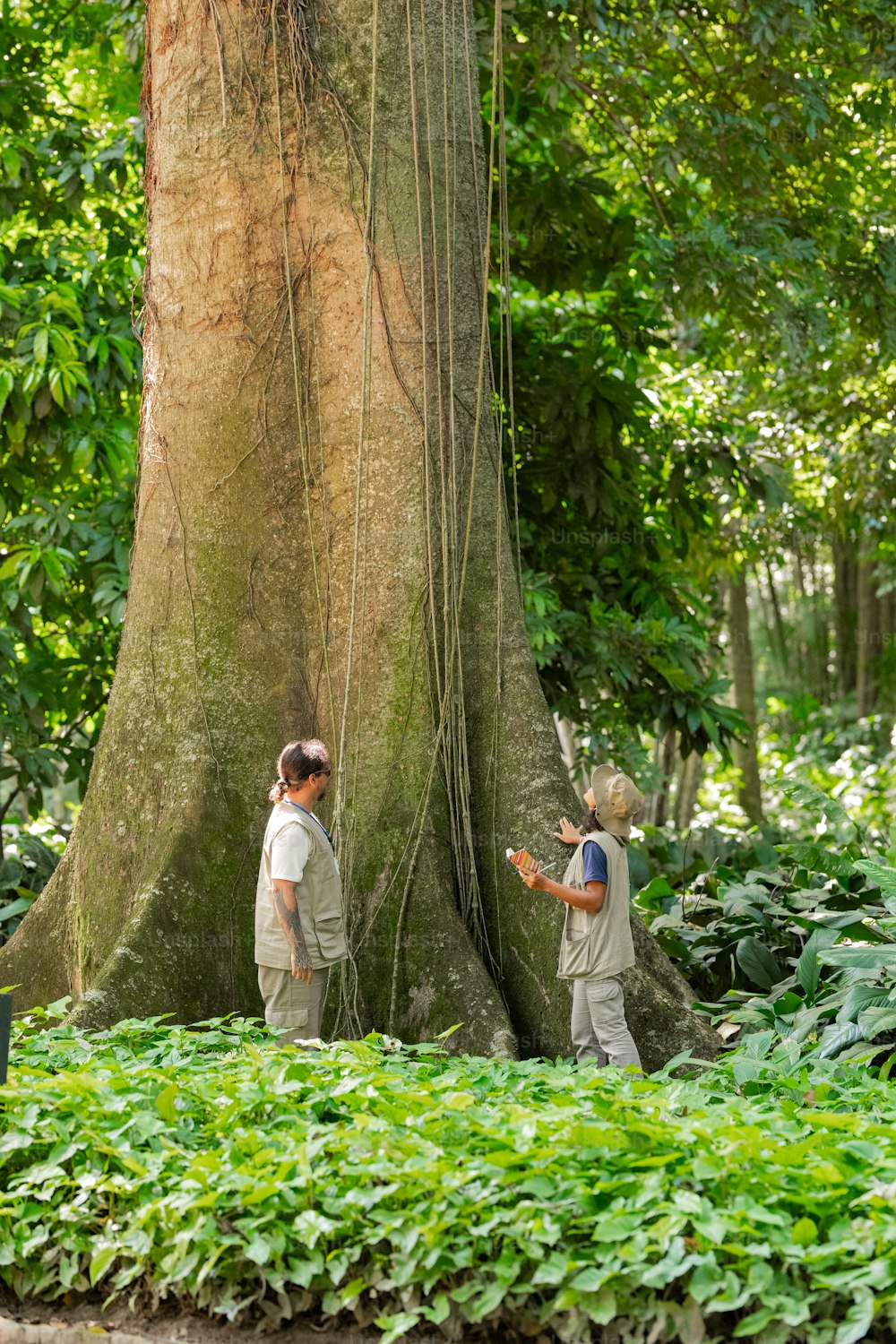 a couple of kids standing next to a tree