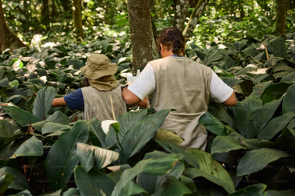 a couple of people walking through a lush green forest