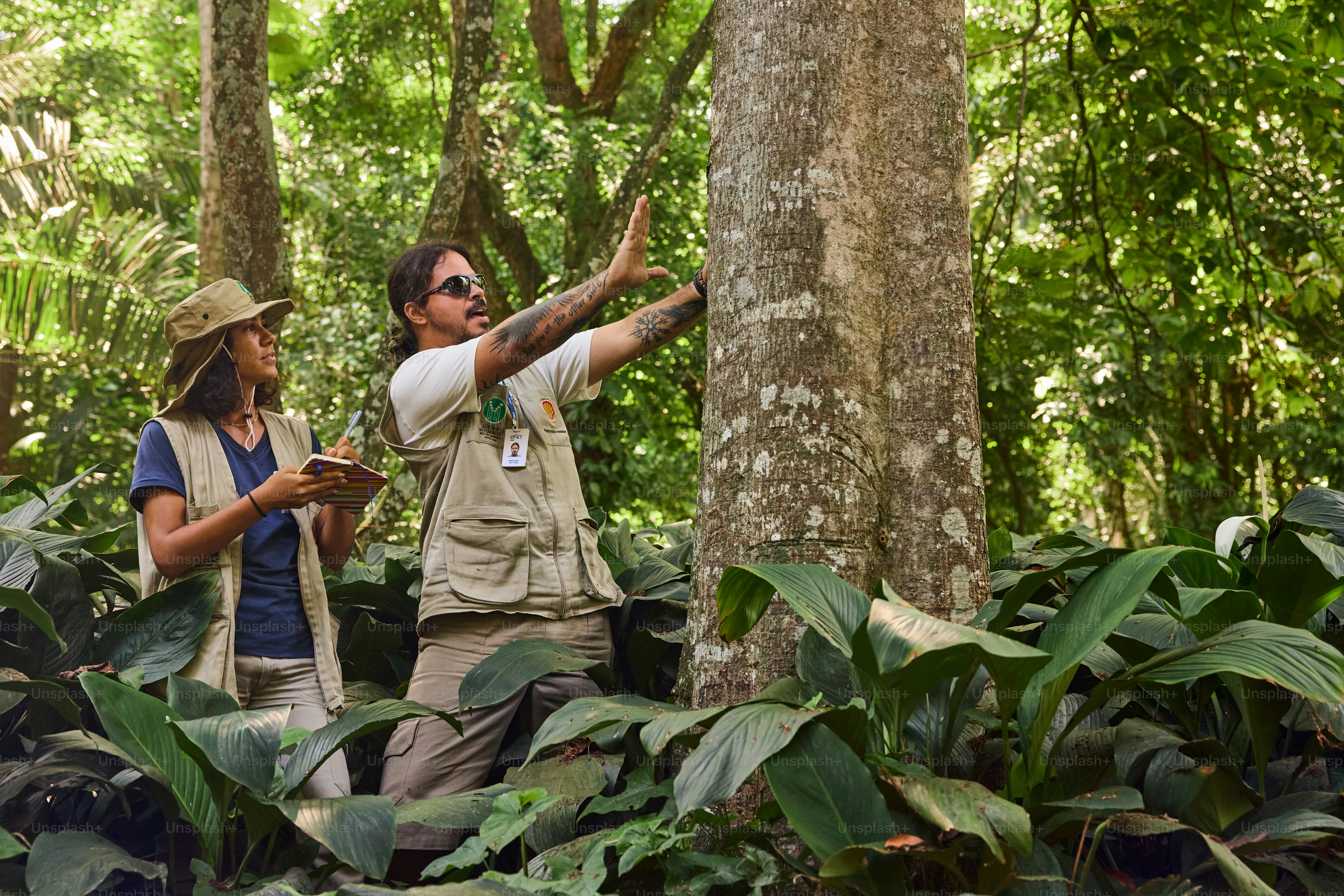 a man and a woman standing in a forest