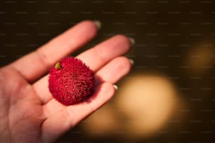 a hand holding a tiny red object in it's palm