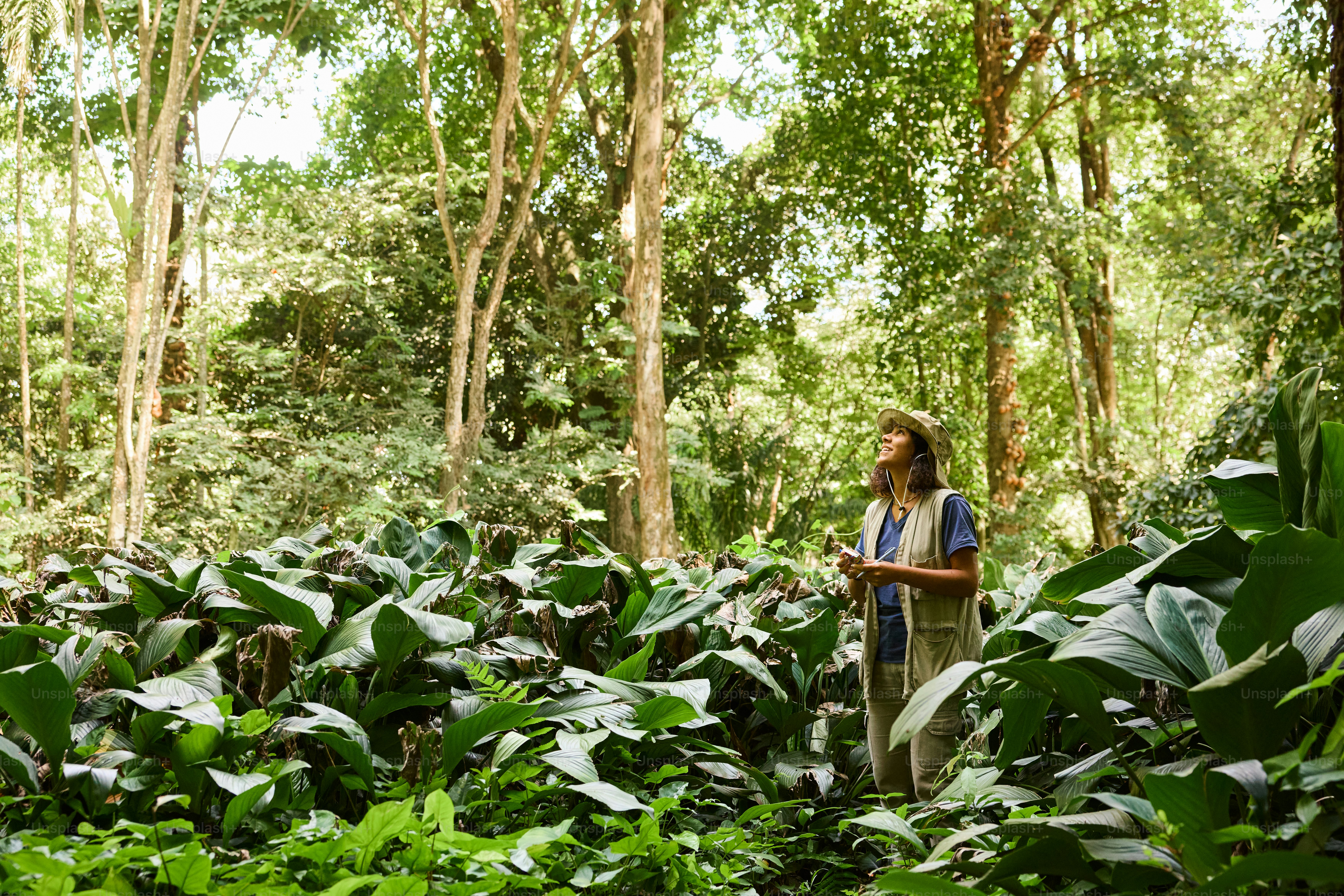a man standing in the middle of a lush green forest