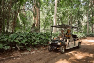 two people riding in a golf cart in the woods