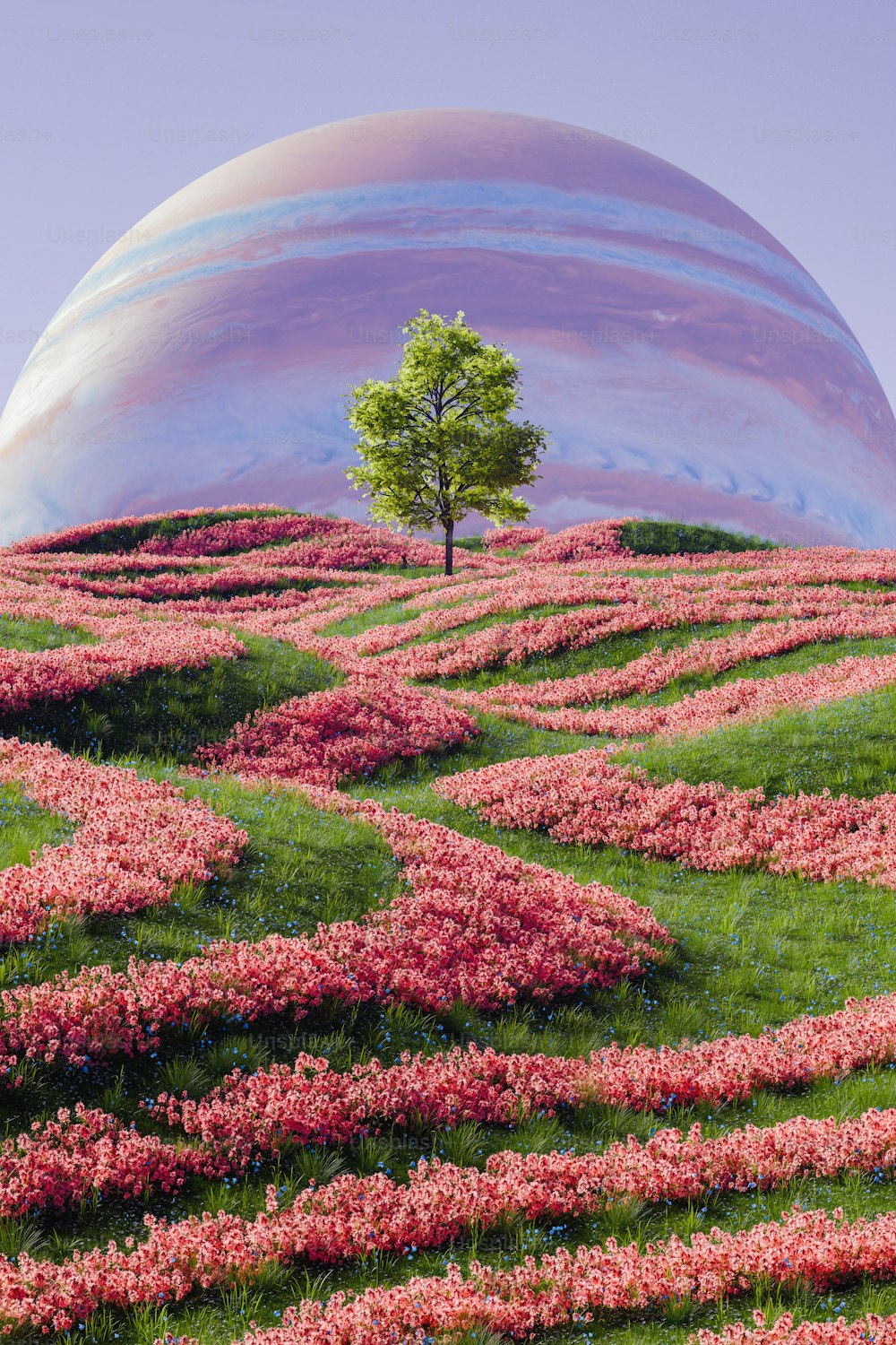 un campo di fiori con un albero al centro