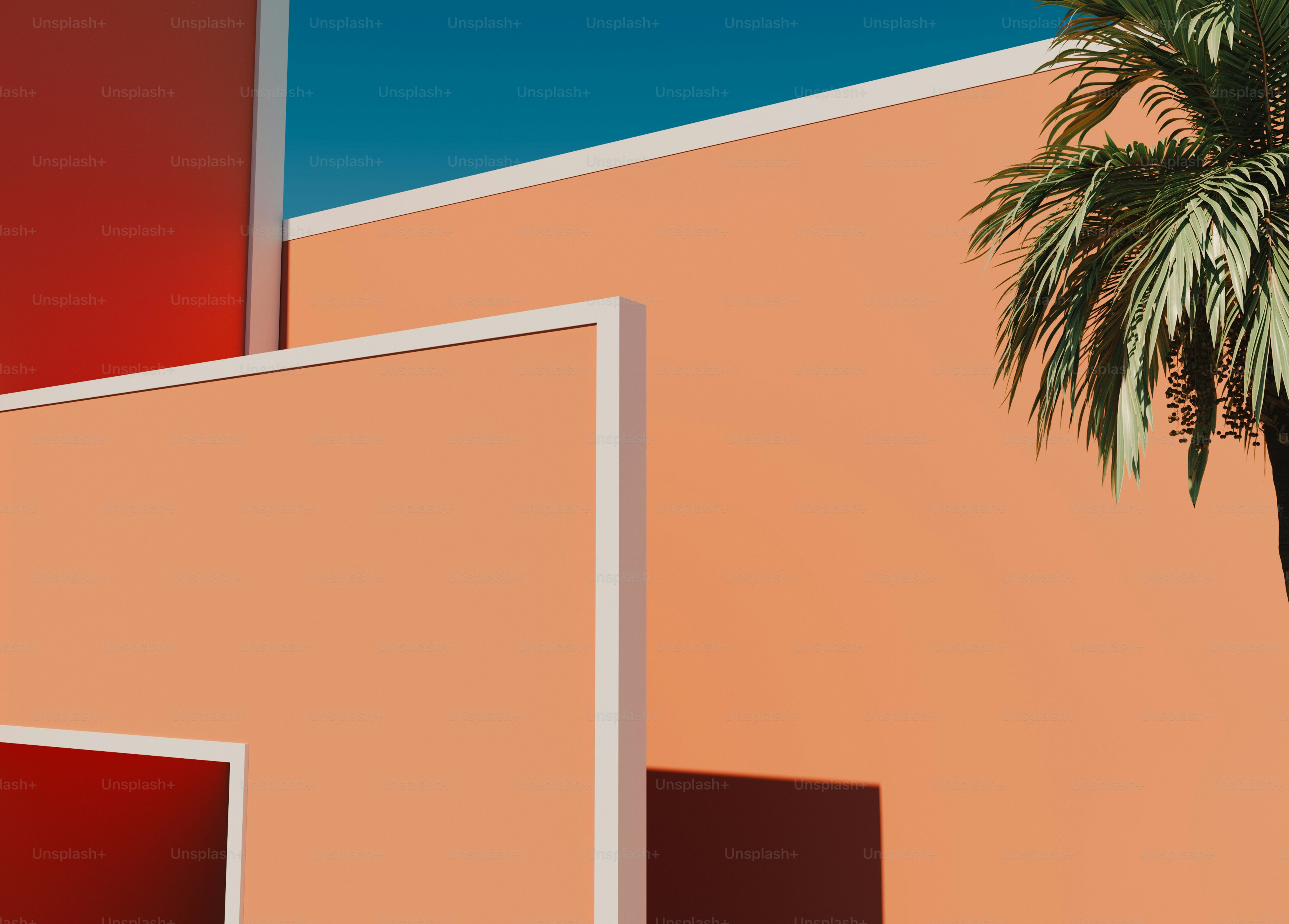 a palm tree in front of a pink building