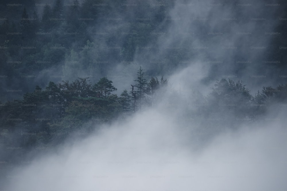 a mountain covered in fog with trees in the background