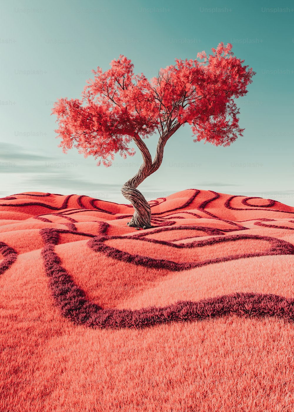 a lone tree in the middle of a red field
