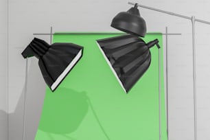 a pair of black lamps hanging from a green wall