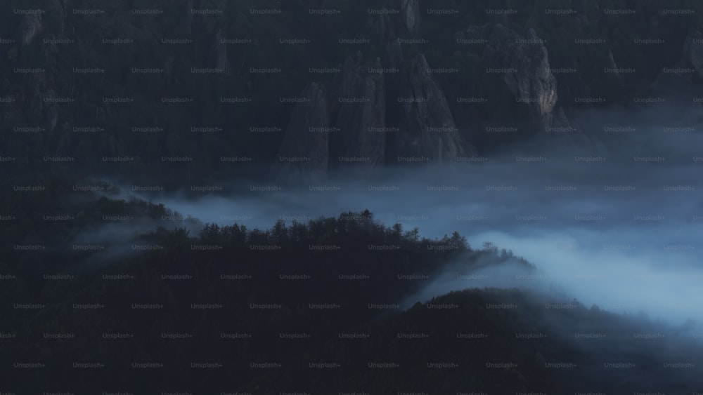 una montagna coperta di nebbia con alberi in primo piano