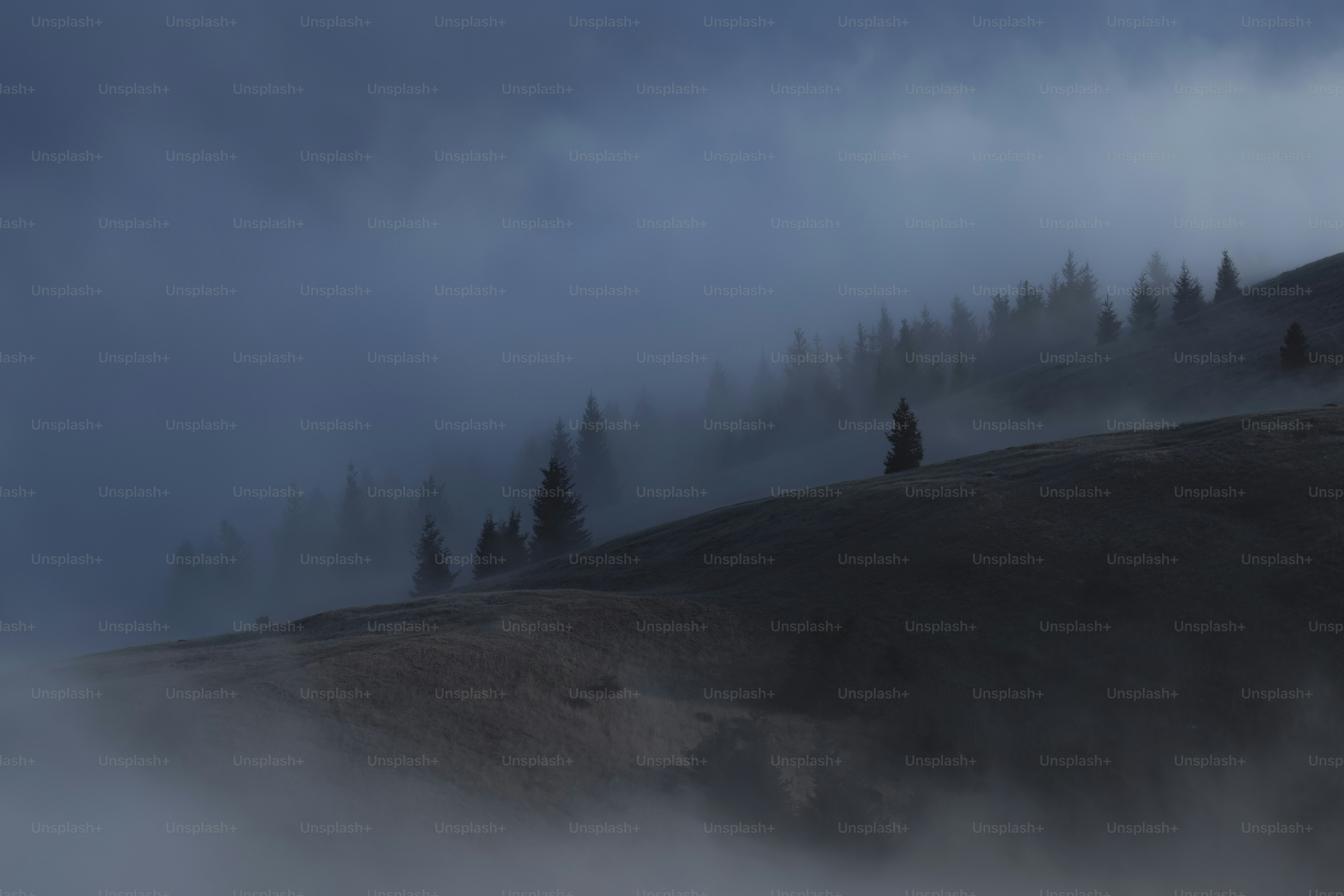 a hill covered in fog with trees on top of it