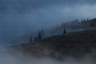 霧に覆われた丘とその上に木々が