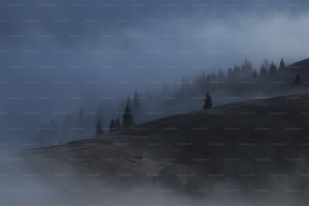 une colline couverte de brouillard avec des arbres au sommet