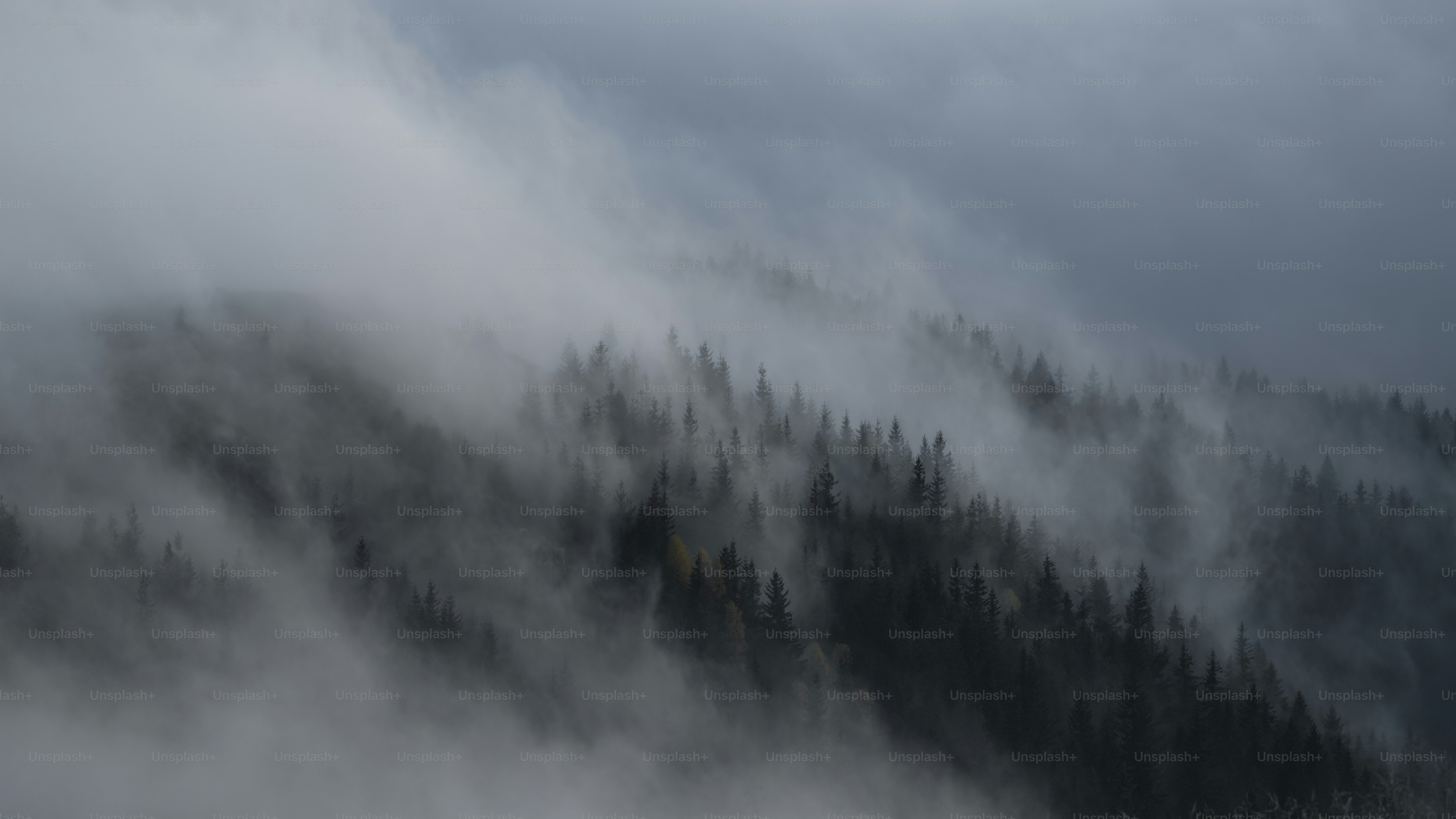 a mountain covered in fog and trees on a cloudy day