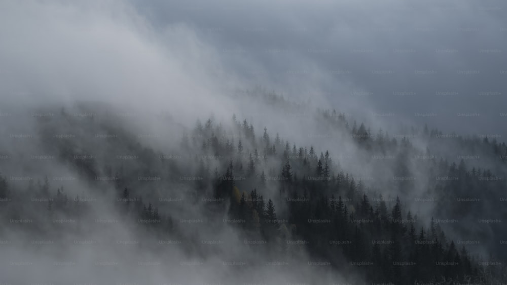 una montagna coperta di nebbia e alberi in una giornata nuvolosa