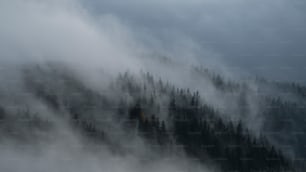 a mountain covered in fog and trees on a cloudy day