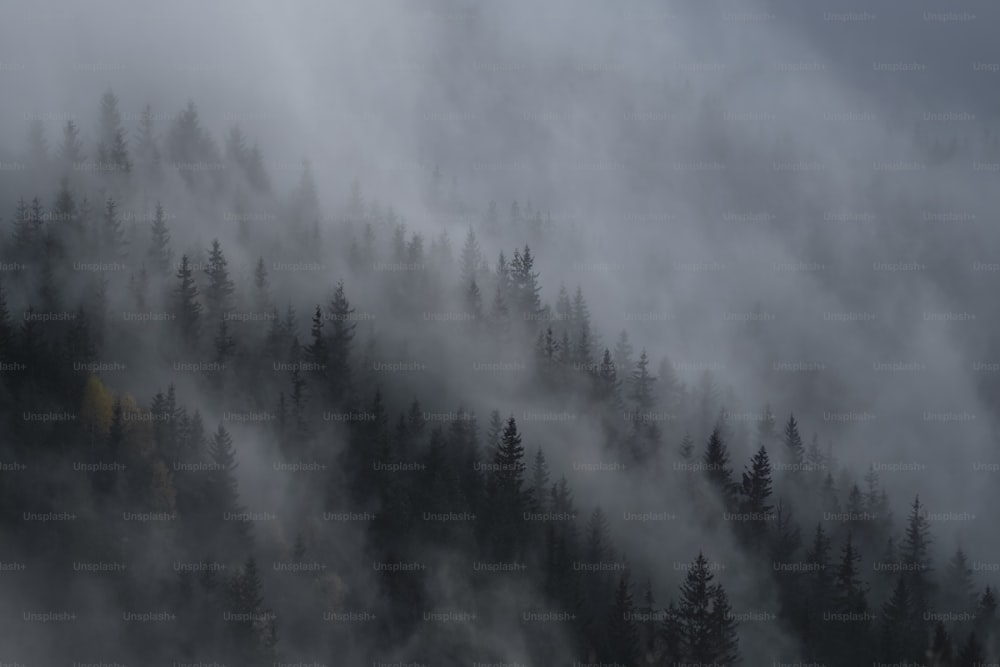 uma montanha coberta de nevoeiro e árvores em um dia nublado