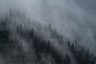 a mountain covered in fog and trees on a cloudy day