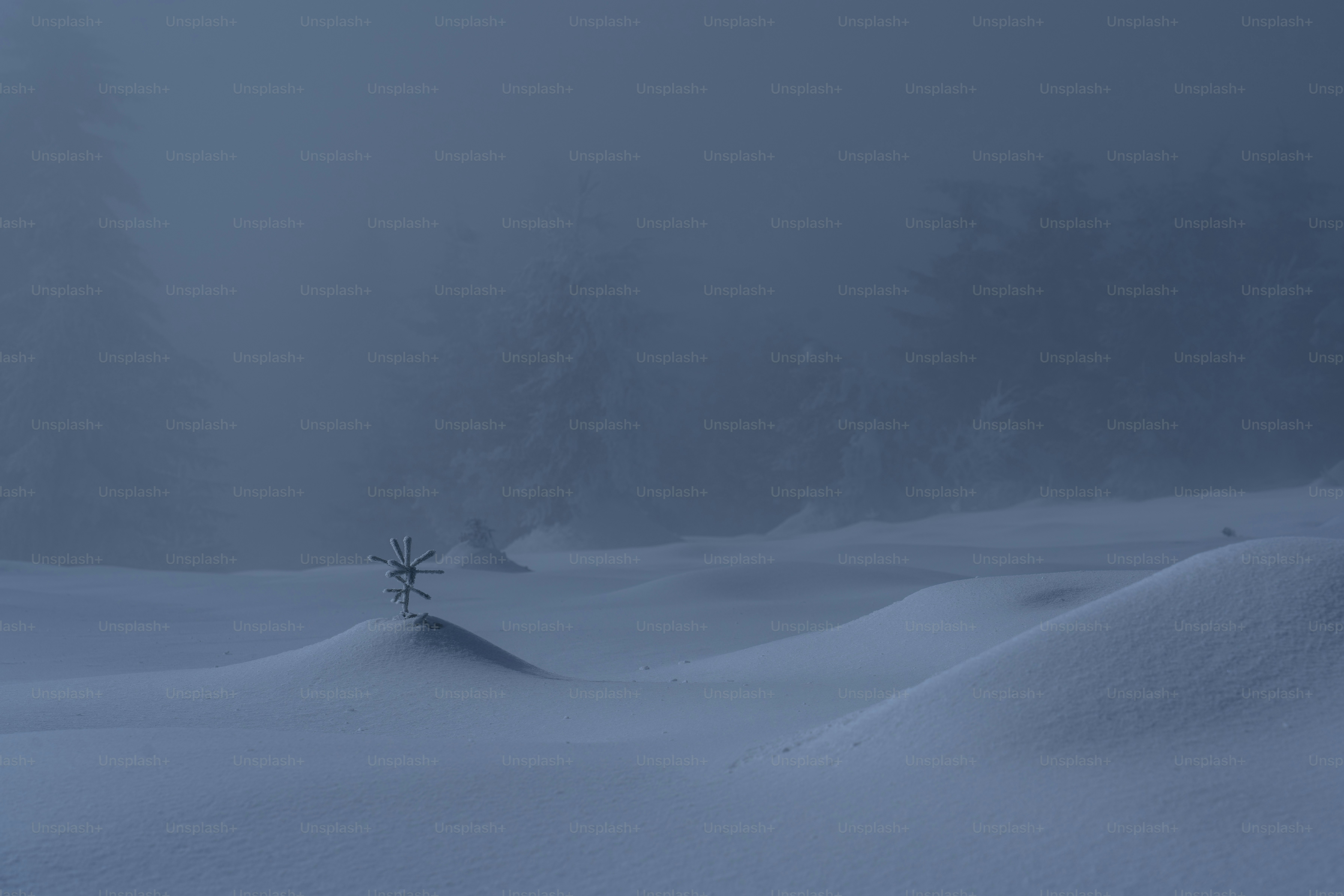 a lone tree standing in the middle of a snow covered field