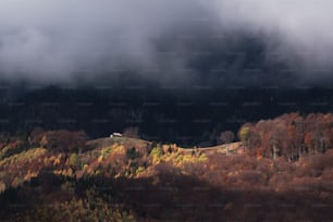 a house on a hill surrounded by trees