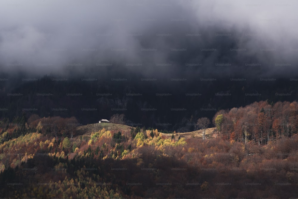 a house on a hill surrounded by trees