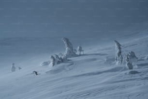 a person riding skis down a snow covered slope