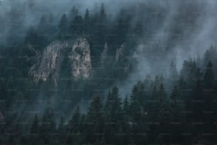 a mountain covered in fog and trees