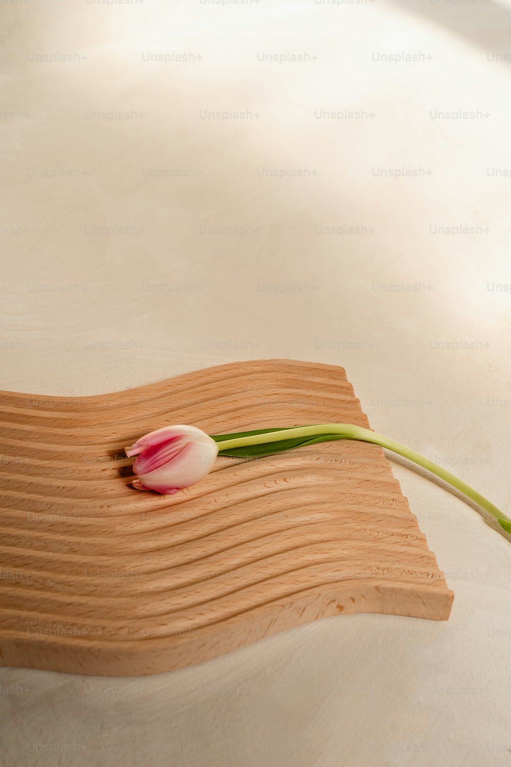 a single tulip on a wooden cutting board