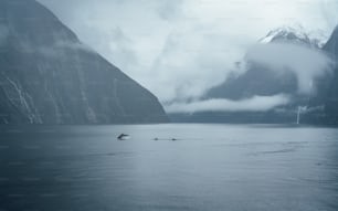 a large body of water with mountains in the background