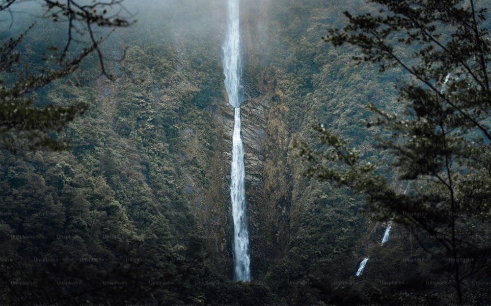 森の真ん中にそびえる高い滝