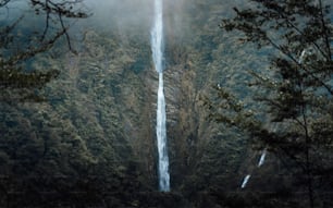 森の真ん中にそびえる高い滝