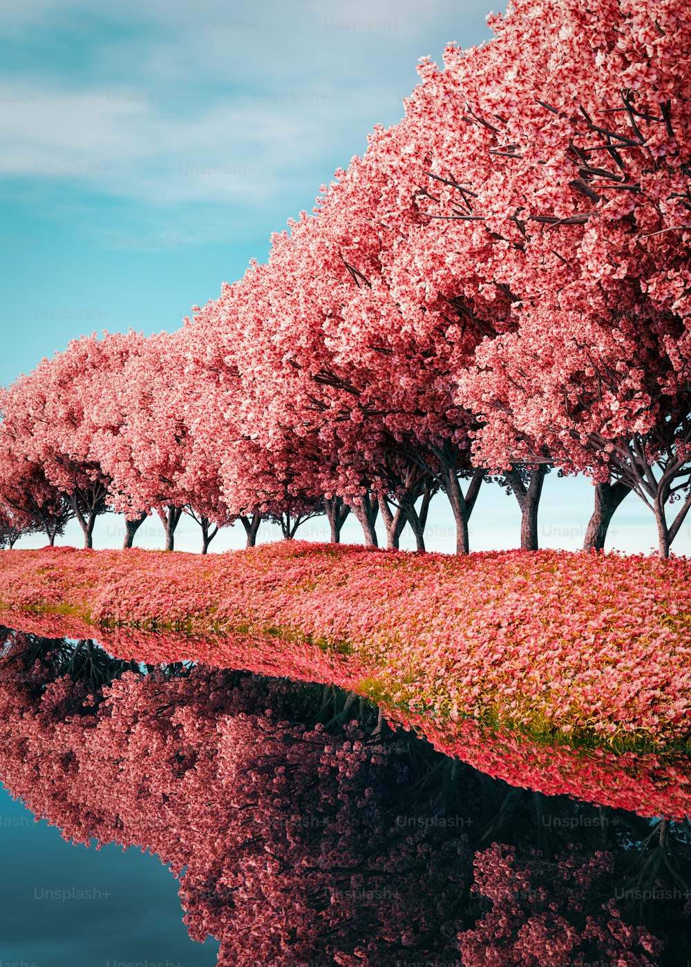 una fila di alberi accanto a uno specchio d'acqua