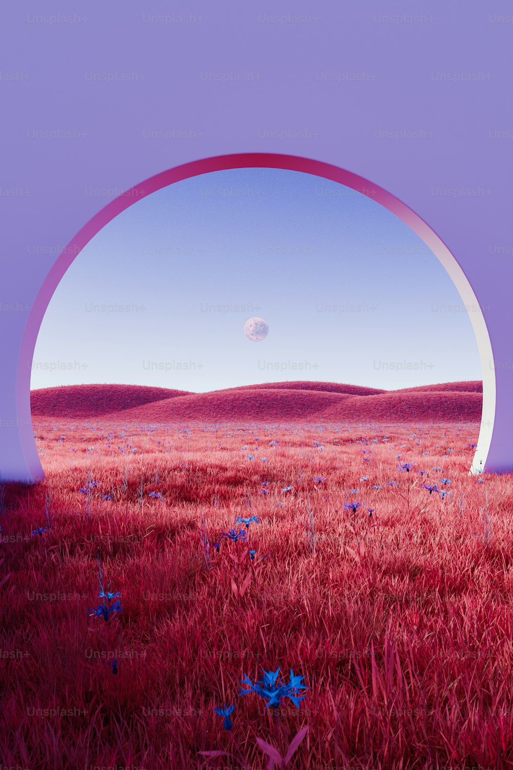 an arch in the middle of a field with blue flowers