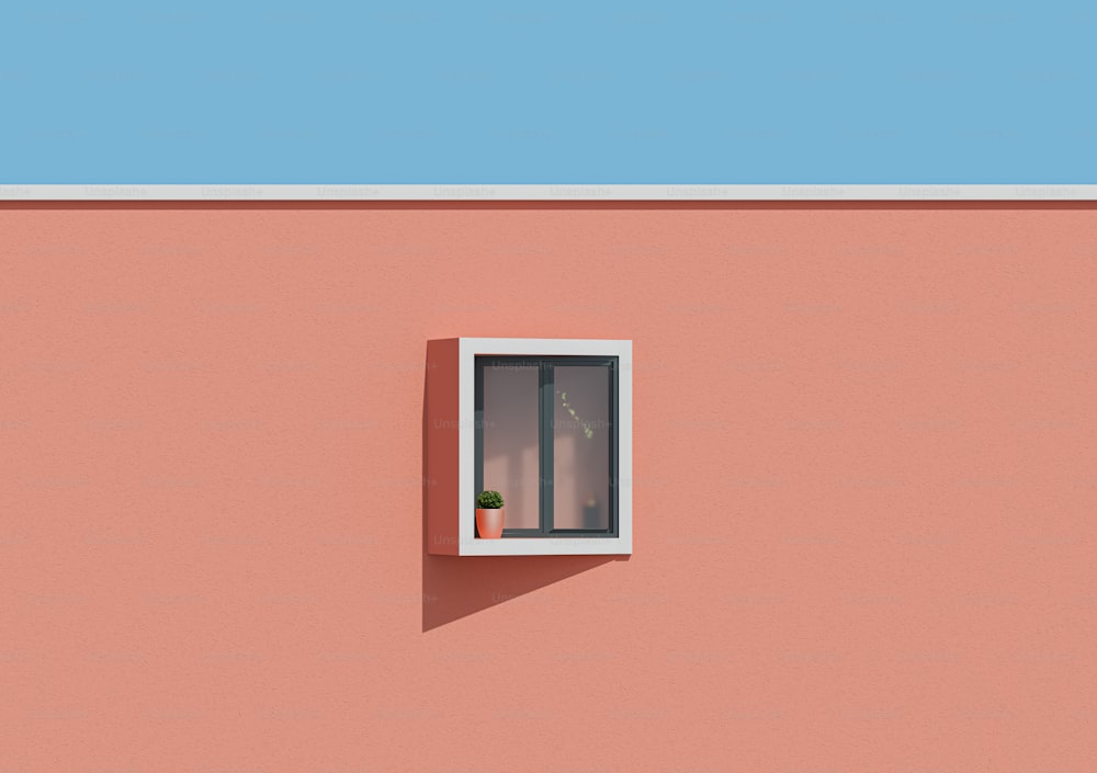 a window on a pink wall with a plant in the window