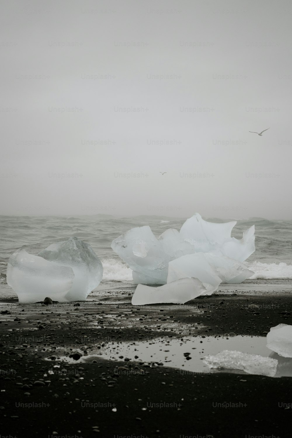 Eine Gruppe von Eisbergen sitzt auf einem Strand
