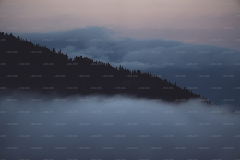 a foggy mountain with trees on a hill