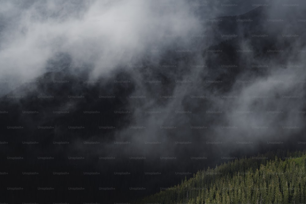 a mountain covered in clouds and trees on a cloudy day