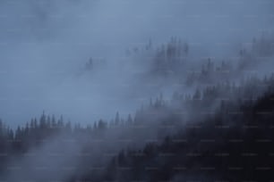 une montagne couverte de brouillard et d’arbres par temps nuageux