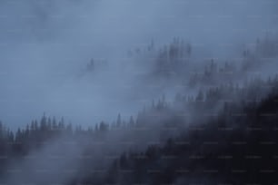 a mountain covered in fog and trees on a cloudy day