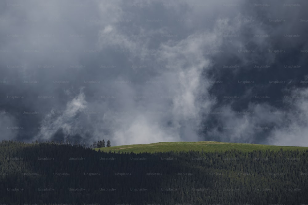 ein Hügel mit einem Wald drauf unter einem bewölkten Himmel