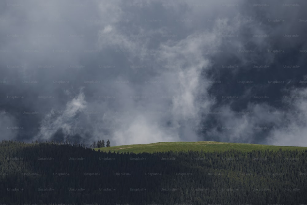 a hill with a forest on it under a cloudy sky