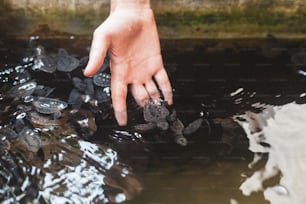 a person's hand reaching for some rocks in the water