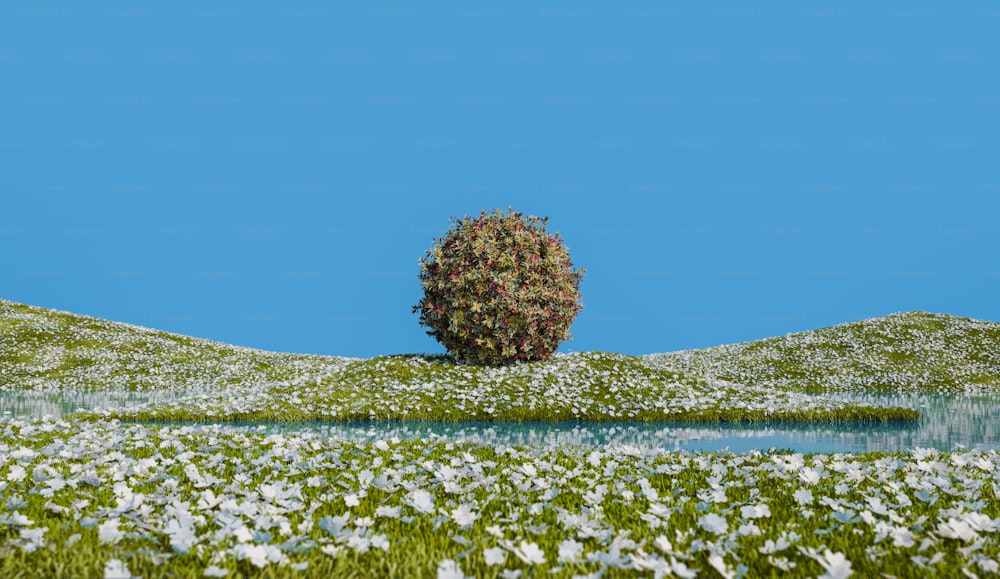 a lone tree in the middle of a field of flowers