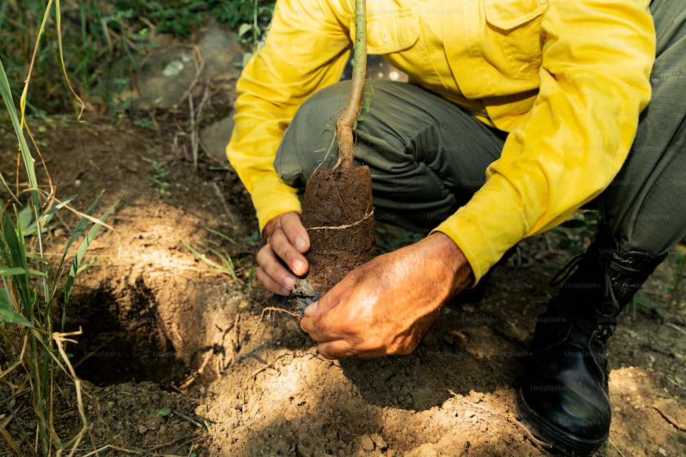 a man kneeling down holding a plant in his hands