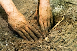 a person is digging in the dirt with their hands